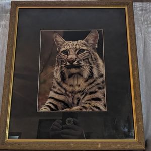 Photography print - Lynx by Preston J Garrison.  "Got an Attitude" 2001-2009.